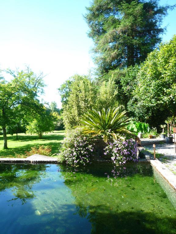 Casa Magnolia Villa Braga Bagian luar foto